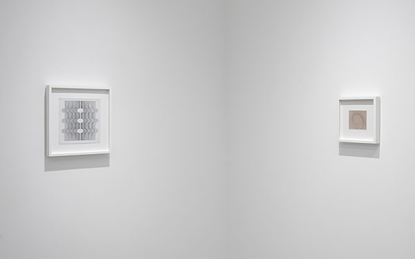 Installation View 2026 5