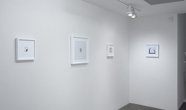 Installation View 2026 16